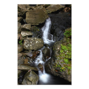 EL Yunque Puerto Rico Fotodruck