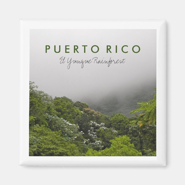 El Yunque, Puerto Rico Magnet (Vorne)