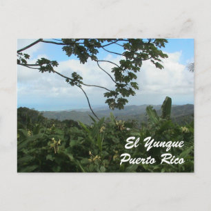EL Yunque, Puerto Rico Postkarte