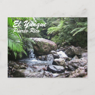 El Yunque, Puerto Rico Postkarte