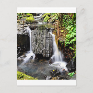 El Yunque Waterfall Postkarte