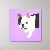 Elaine's Toby Boston Terrier