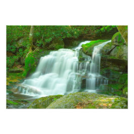 Elakala Falls #2, West Virginia Fotodruck