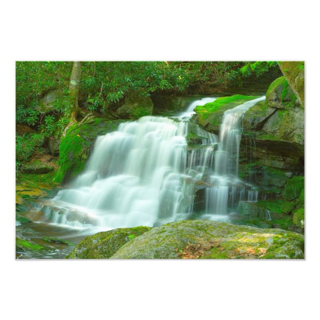 Elakala Falls #2, West Virginia Fotodruck (Vorne)