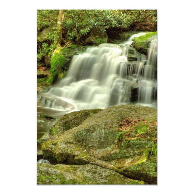 Elakala Falls #2, West Virginia Fotodruck (Vorne)