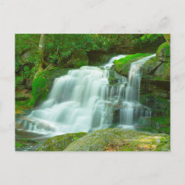 Elakala Falls #2, West Virginia Postkarte
