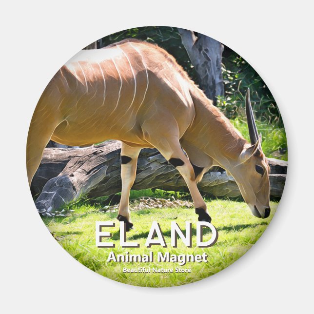 Eland Magnet (Vorne)
