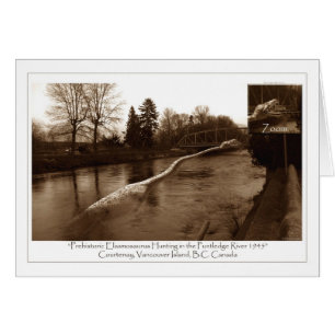 Elasmosaurus-Geschenke