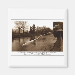 Elasmosaurus-Geschenke Magnet