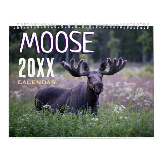 Elch 2027 Wildtiere Tiere Wandkalender (Titelbild)