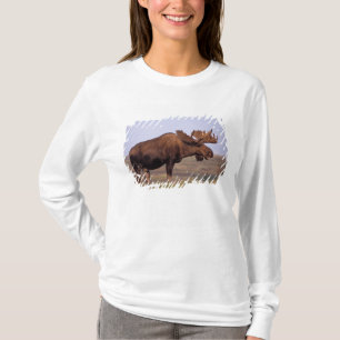 Elch, Alces alces, Bulle mit großen Geweihen T-Shirt