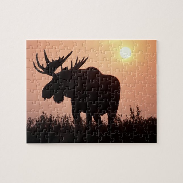 Elch, Alces alces, Stier mit großen Geweih- Puzzle (Horizontal)