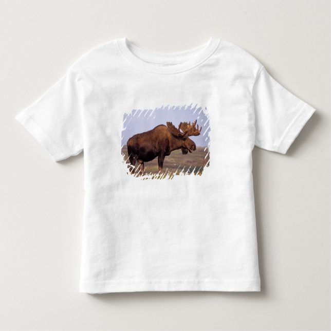 Elch, Alces Alces, Stier mit großen Geweihten Kleinkind T-shirt (Vorderseite)