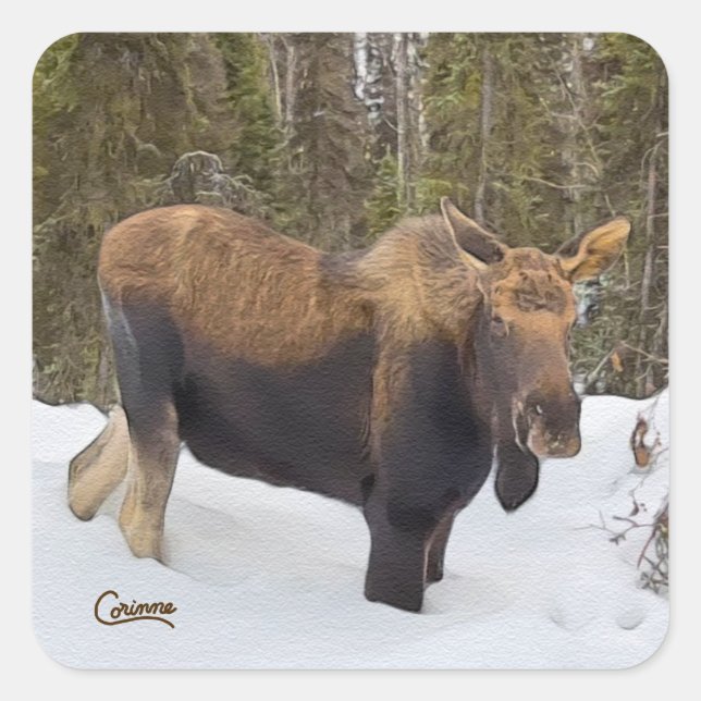 Elch - Aufkleber für den Umschlag (Vorderseite)