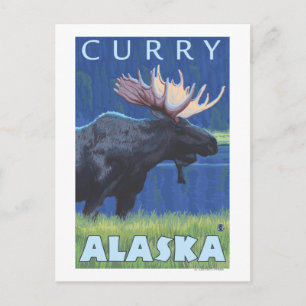 Elch bei Nacht - Curry, Alaska Postkarte