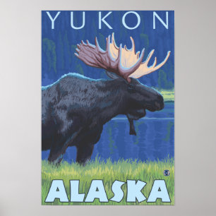 Elch bei Nacht - Yukon, Alaska Poster