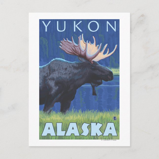Elch bei Nacht - Yukon, Alaska Postkarte (Vorderseite)
