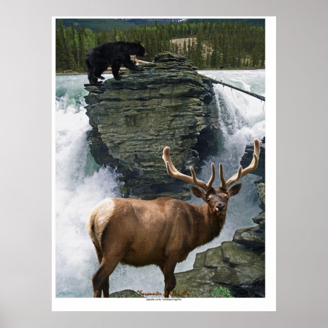 Elch & Black Bars Wildlife Art Poster (Vorne)
