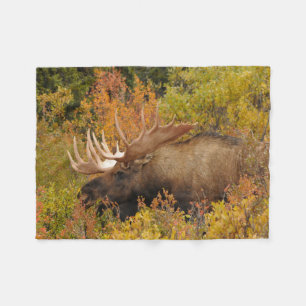 Elch   Denali-Nationalpark, Alaska Fleecedecke