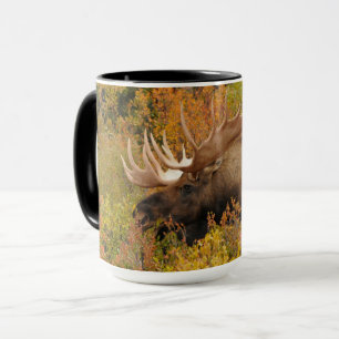 Elch Denali-Nationalpark, Alaska Tasse