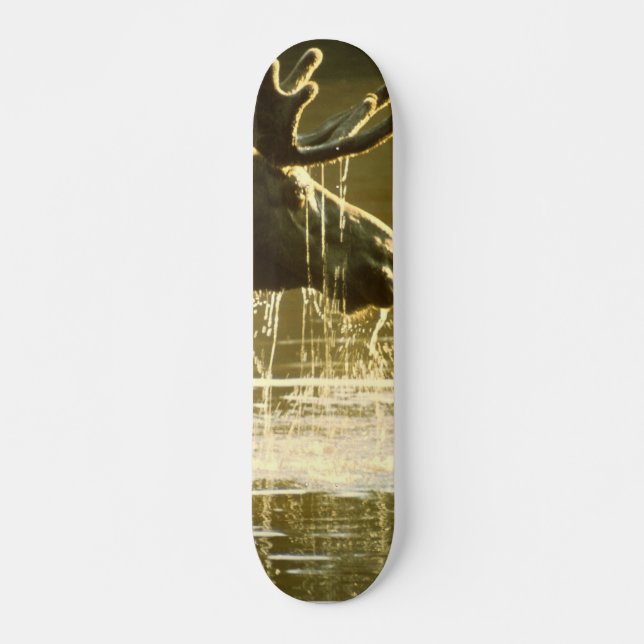 Elch, der seinen Kopf ins Wasser taucht Skateboard (Vorne)