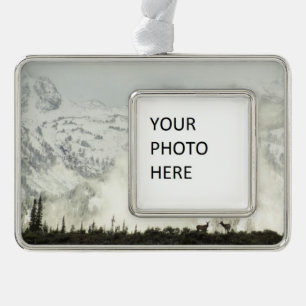 Elch-Fotografie im Grand Teton National Park Rahmen-Ornament Silber
