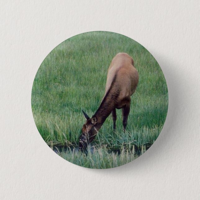 Elch - Gelbstein Button (Vorderseite)