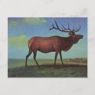 Elch-Gemälde Postkarte