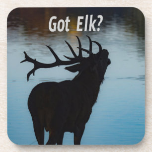 Elch got? Funny Hunter Spaß Getränkeuntersetzer