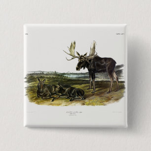Elch Hirsch (Elch - Alzen Alzen) von Audubon Button