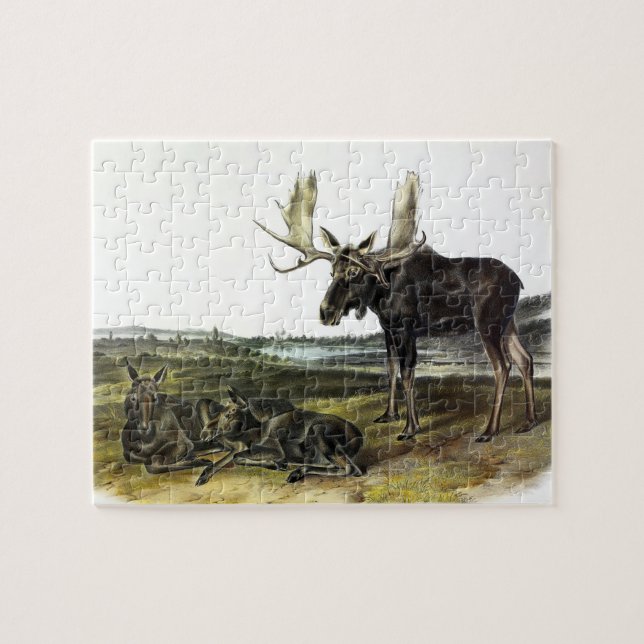 Elch Hirsch (Elch - Alzen Alzen) von Audubon Puzzle (Horizontal)