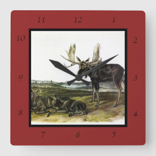 Elch Hirsch (Elch - Alzen Alzen) von Audubon Quadratische Wanduhr