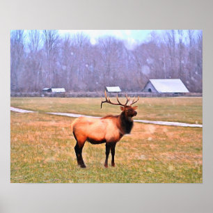 Elch im Poster der Großen Smoky-Gebirge