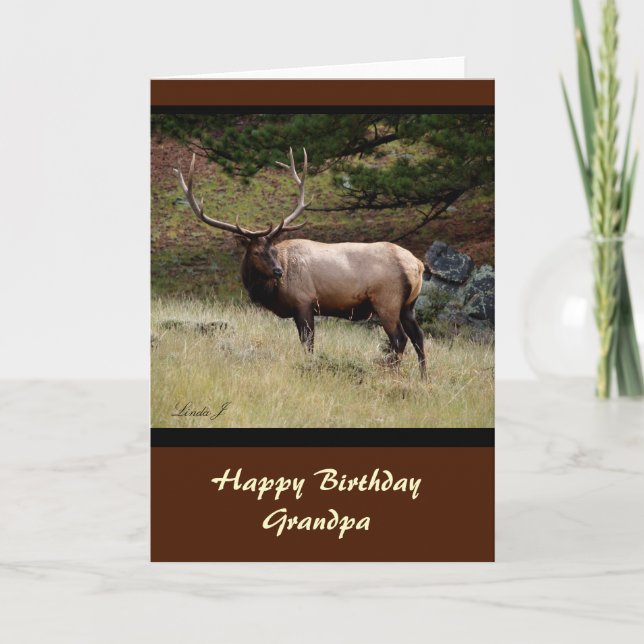 Elch im Wilden Karte (Vorderseite)