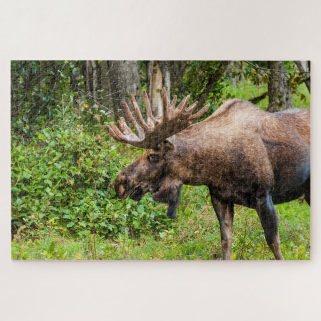 Elch | Kenai Halbinsel, Alaska Puzzle (Horizontal)