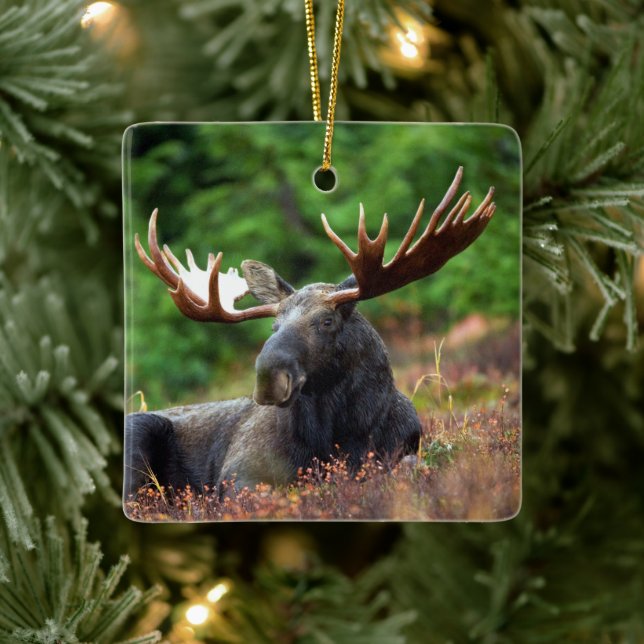 Elch Keramikornament (Baum)