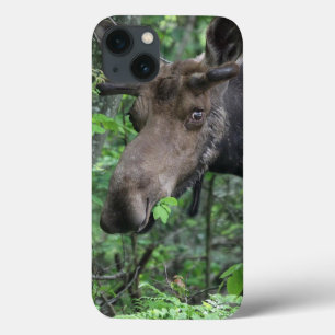Elch Northern Animal Park Frieden Hoffnung Liebe S Case-Mate iPhone Hülle