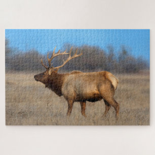 Elch-Profil im Herbst Puzzle