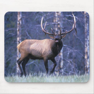 Elch-Schrei Mousepad