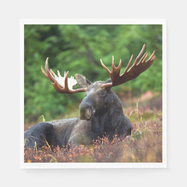 Elch Serviette (Vorderseite)