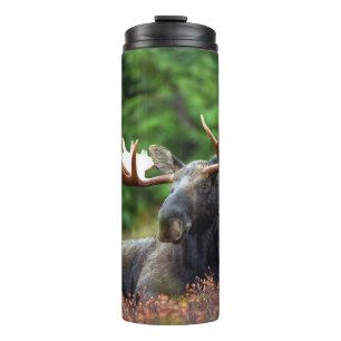 Elch Thermosbecher