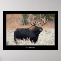 Elch und Eichhörnchen "TEAMWORK" Motivierend Poste
