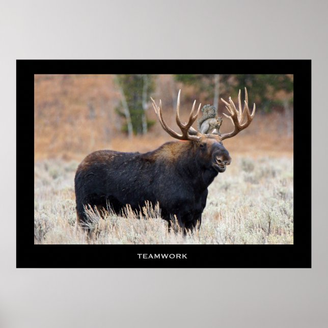 Elch und Eichhörnchen "TEAMWORK" Motivierend Poste Poster (Vorne)