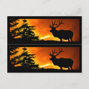 Elch- und Waldbrandmarken Postkarte