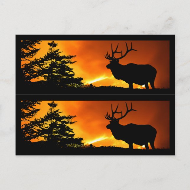 Elch- und Waldbrandmarken Postkarte (Vorderseite)
