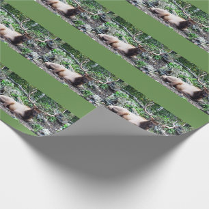Elch-Verpackung Geschenkpapier