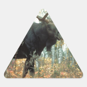 Elch Wald Bäume Park Tier Wildnis Kunst Dreieckiger Aufkleber