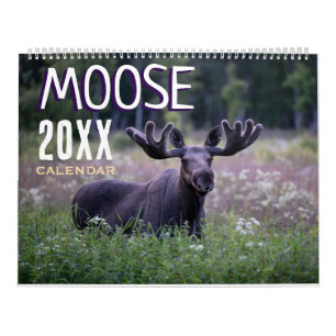Elch-Wandkalender 2027 Wildlife Tiere Kalender