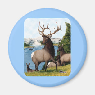 Elch Wapiti Magnet