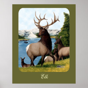 Elch Wapiti Poster